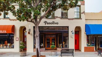 Pasolivo teams up with local artist for live painting event