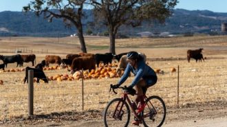 Bovine Classic cycling event returns to North County