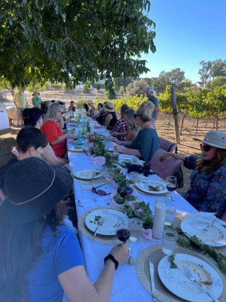 Timshel Vineyards presents: Annual Harvest Stomp Dinner in the Vineyard