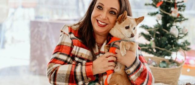 novy's ark dog rescue holiday fundraisers