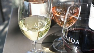 Adelaida wines photo from website