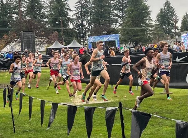 Templeton's Josh Bell finishes 8th at Nike Cross Nationals