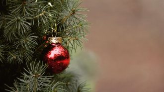 how to recycle christmas tree north county