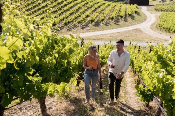 Winery hosting special Valentine's Day sweepstakes