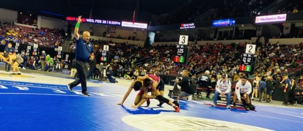 Bearcat ends senior year among the top 16 wrestlers in the state 