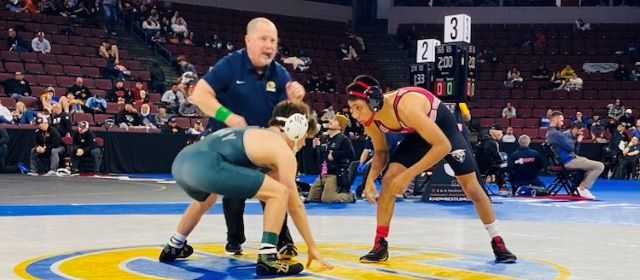 Bearcat ends senior year among the top 16 wrestlers in the state