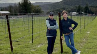 Local winery announces acquisition of new vineyard site