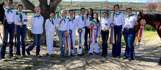 Annual horse show fundraiser supports local youth equestrians