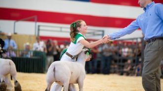 Mid-State Fair exhibit, horse show, livestock handbooks now available