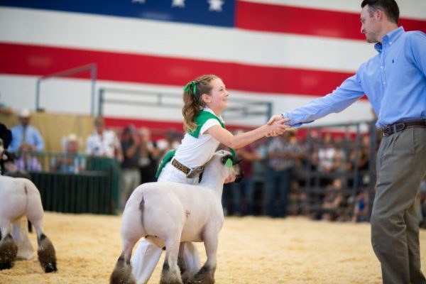 Mid-State Fair exhibit, horse show, livestock handbooks now available 