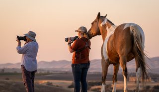 Learn horse photography techniques at upcoming workshop