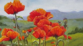 Wild Poppies by Joan Brown.