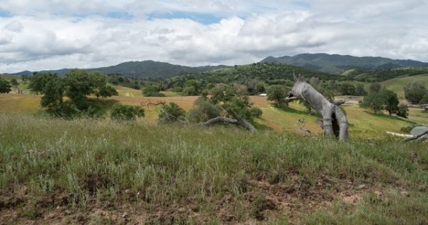 Conservation easement safeguards 27,512-acre working ranch