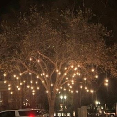 City to unveil year-round lighting in Paso Robles Downtown City Park 