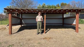 Local Eagle Scout candidate builds shelter at animal sanctuary