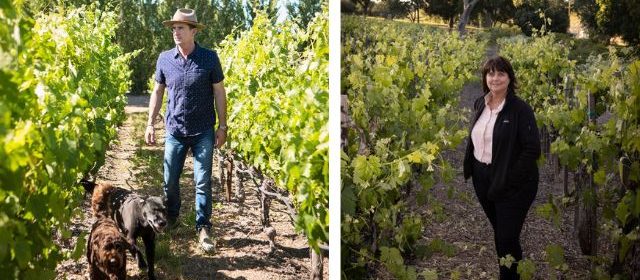 99.9 percent of its fruit supply now comes from sustainably grown vineyard blocks