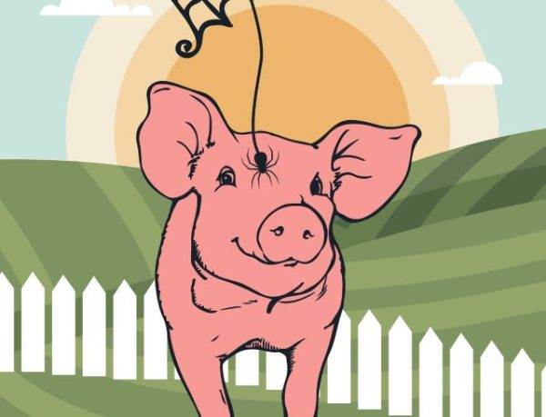 Wine Country Theatre holding auditions for 'Charlotte's Web'